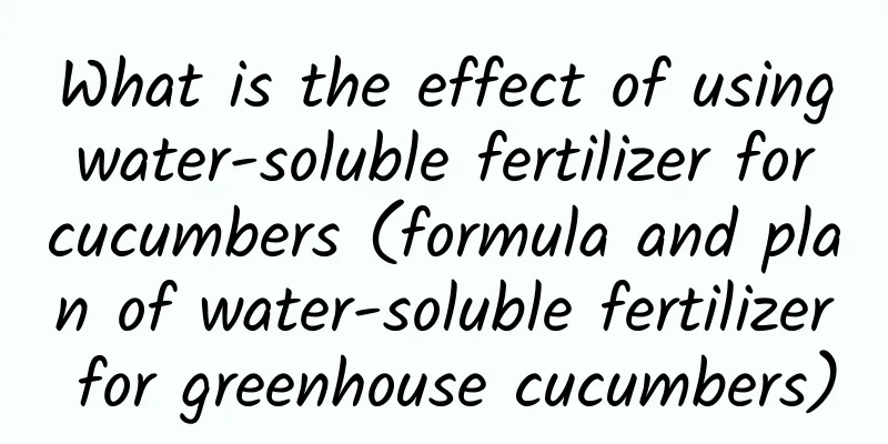 What is the effect of using water-soluble fertilizer for cucumbers (formula and plan of water-soluble fertilizer for greenhouse cucumbers)