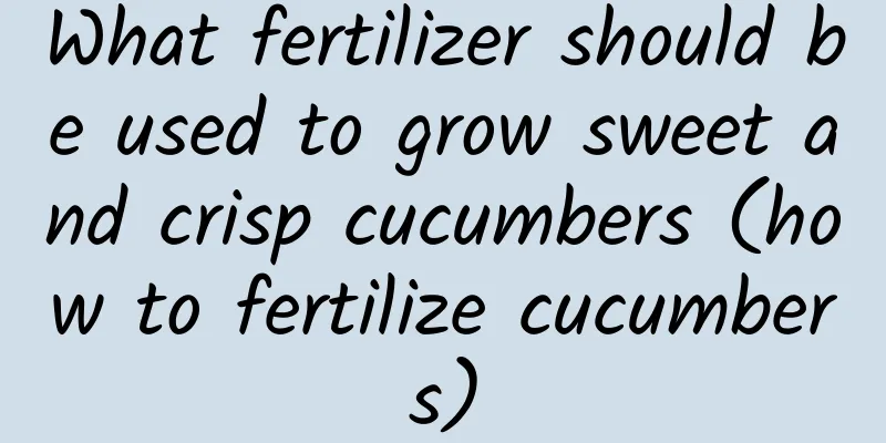 What fertilizer should be used to grow sweet and crisp cucumbers (how to fertilize cucumbers)