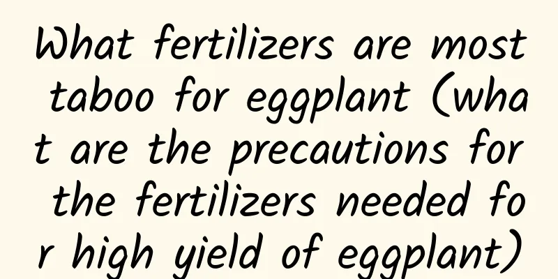 What fertilizers are most taboo for eggplant (what are the precautions for the fertilizers needed for high yield of eggplant)