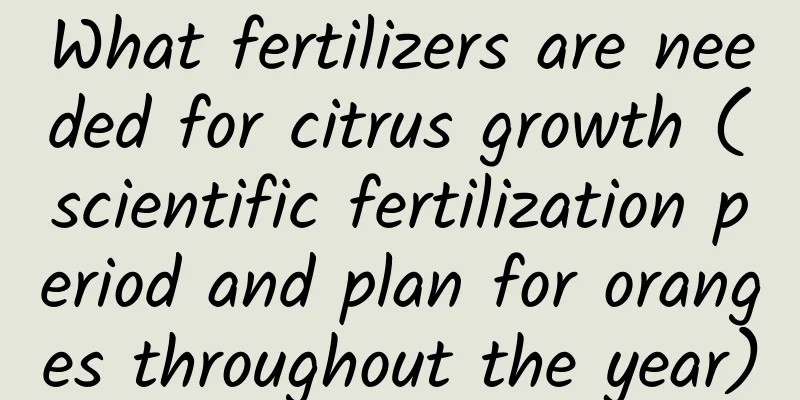What fertilizers are needed for citrus growth (scientific fertilization period and plan for oranges throughout the year)