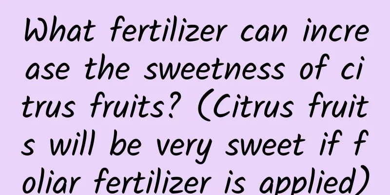 What fertilizer can increase the sweetness of citrus fruits? (Citrus fruits will be very sweet if foliar fertilizer is applied)