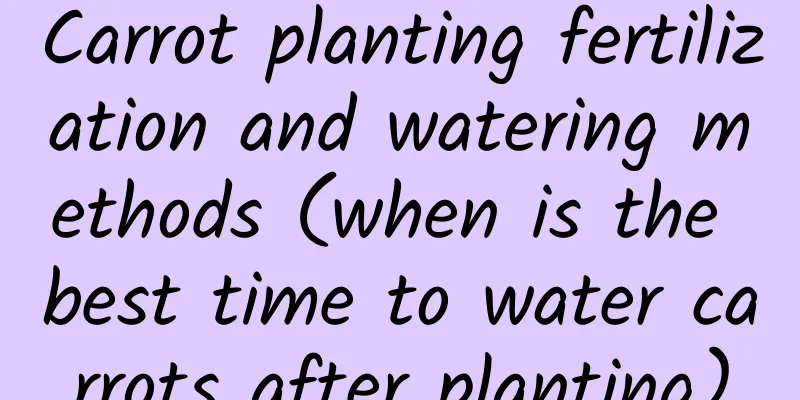 Carrot planting fertilization and watering methods (when is the best time to water carrots after planting)