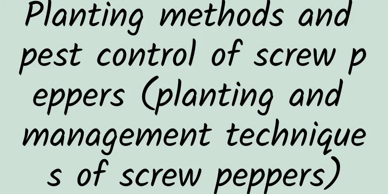 Planting methods and pest control of screw peppers (planting and management techniques of screw peppers)