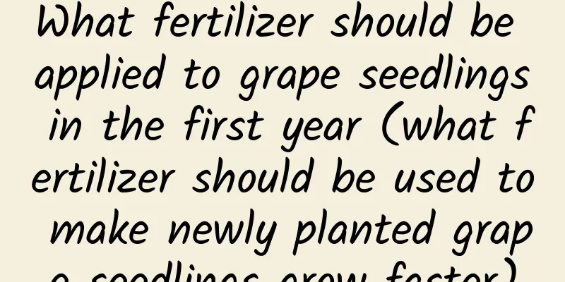 What fertilizer should be applied to grape seedlings in the first year (what fertilizer should be used to make newly planted grape seedlings grow faster)