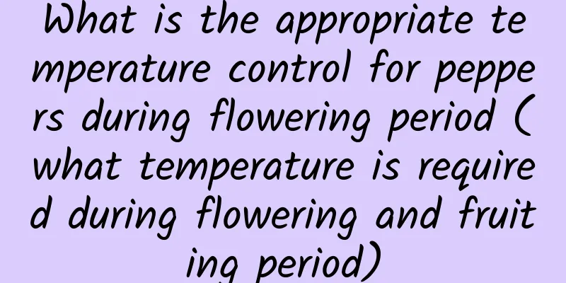 What is the appropriate temperature control for peppers during flowering period (what temperature is required during flowering and fruiting period)