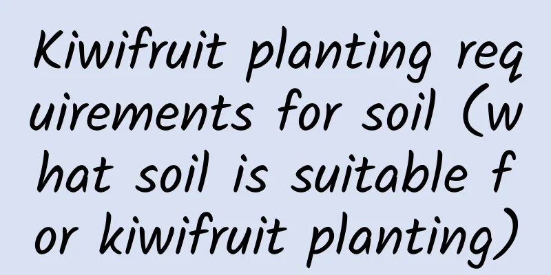Kiwifruit planting requirements for soil (what soil is suitable for kiwifruit planting)