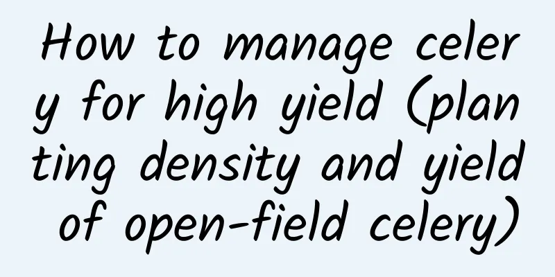 How to manage celery for high yield (planting density and yield of open-field celery)