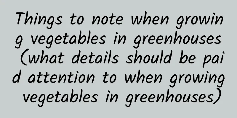 Things to note when growing vegetables in greenhouses (what details should be paid attention to when growing vegetables in greenhouses)