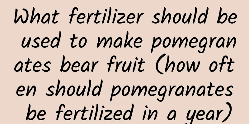 What fertilizer should be used to make pomegranates bear fruit (how often should pomegranates be fertilized in a year)