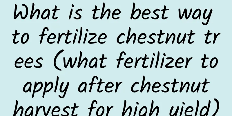 What is the best way to fertilize chestnut trees (what fertilizer to apply after chestnut harvest for high yield)