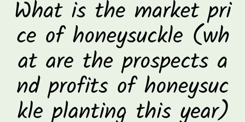 What is the market price of honeysuckle (what are the prospects and profits of honeysuckle planting this year)