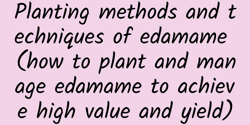 Planting methods and techniques of edamame (how to plant and manage edamame to achieve high value and yield)