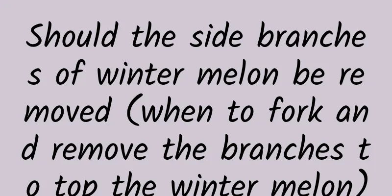 Should the side branches of winter melon be removed (when to fork and remove the branches to top the winter melon)