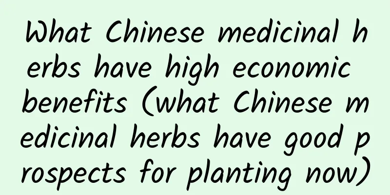 What Chinese medicinal herbs have high economic benefits (what Chinese medicinal herbs have good prospects for planting now)