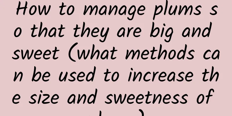 How to manage plums so that they are big and sweet (what methods can be used to increase the size and sweetness of plums)
