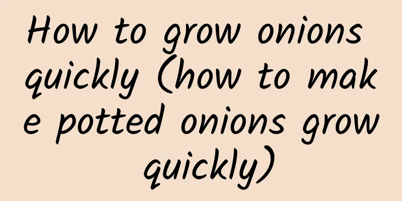 How to grow onions quickly (how to make potted onions grow quickly)