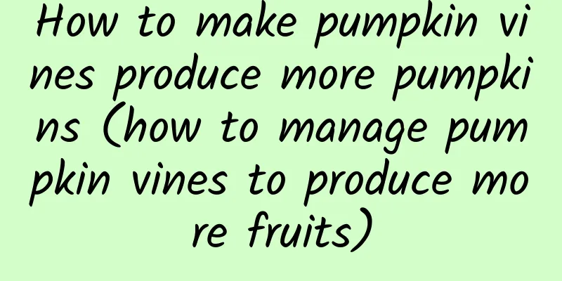 How to make pumpkin vines produce more pumpkins (how to manage pumpkin vines to produce more fruits)
