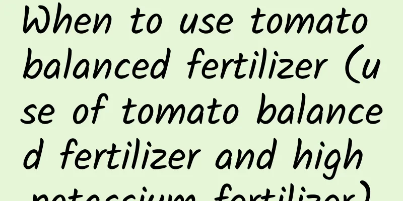 When to use tomato balanced fertilizer (use of tomato balanced fertilizer and high potassium fertilizer)