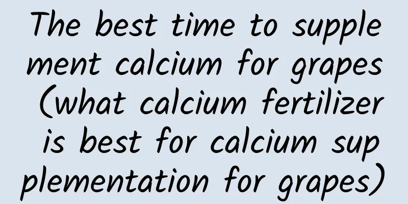 The best time to supplement calcium for grapes (what calcium fertilizer is best for calcium supplementation for grapes)