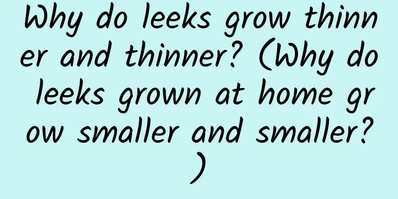Why do leeks grow thinner and thinner? (Why do leeks grown at home grow smaller and smaller?)