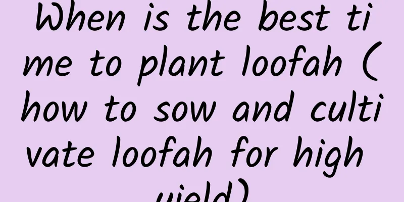When is the best time to plant loofah (how to sow and cultivate loofah for high yield)