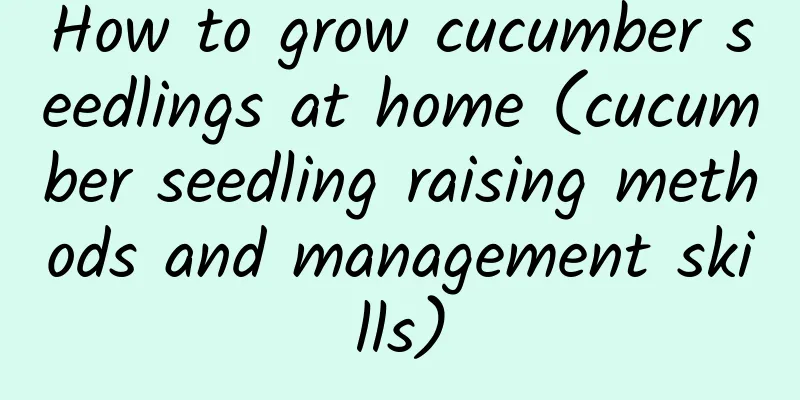 How to grow cucumber seedlings at home (cucumber seedling raising methods and management skills)