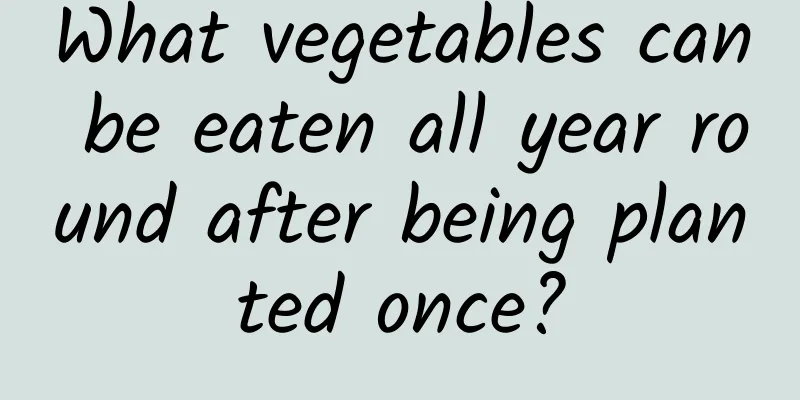 What vegetables can be eaten all year round after being planted once?
