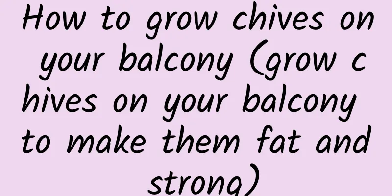 How to grow chives on your balcony (grow chives on your balcony to make them fat and strong)