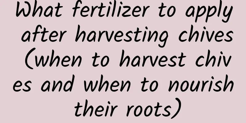 What fertilizer to apply after harvesting chives (when to harvest chives and when to nourish their roots)