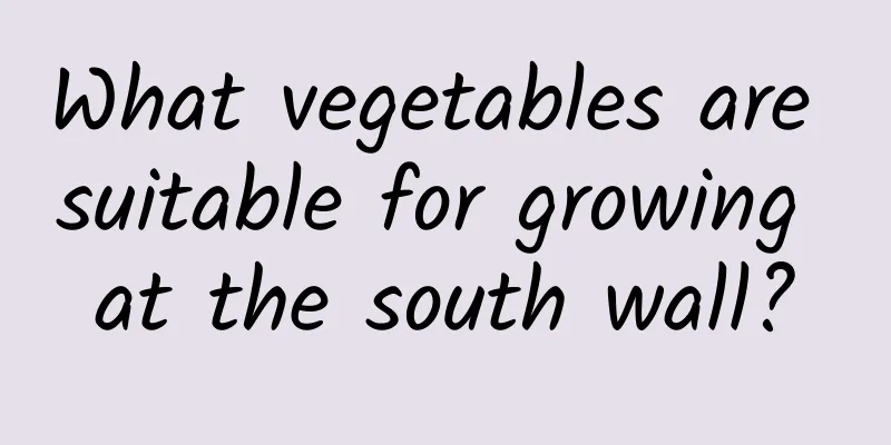 What vegetables are suitable for growing at the south wall?