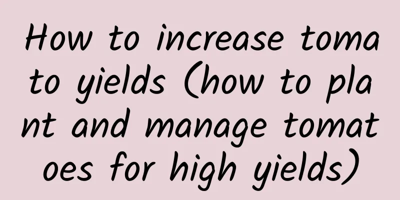 How to increase tomato yields (how to plant and manage tomatoes for high yields)