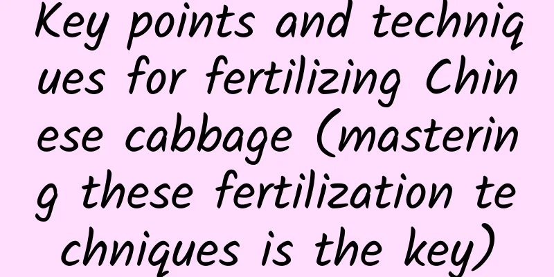 Key points and techniques for fertilizing Chinese cabbage (mastering these fertilization techniques is the key)
