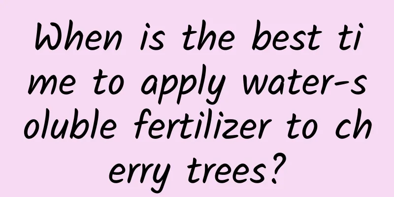 When is the best time to apply water-soluble fertilizer to cherry trees?