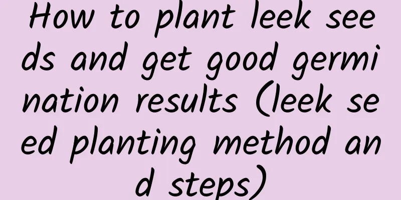 How to plant leek seeds and get good germination results (leek seed planting method and steps)