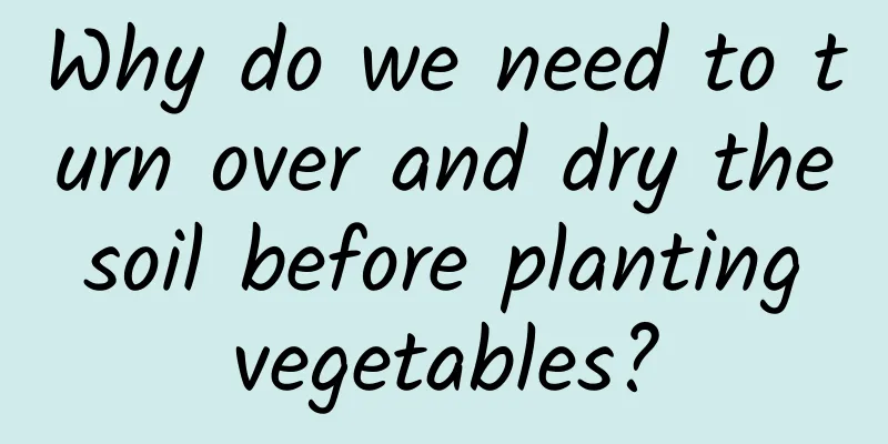 Why do we need to turn over and dry the soil before planting vegetables?