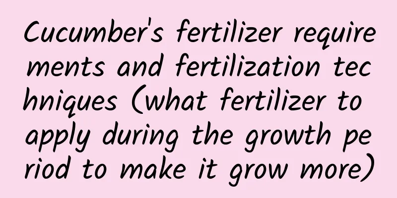 Cucumber's fertilizer requirements and fertilization techniques (what fertilizer to apply during the growth period to make it grow more)