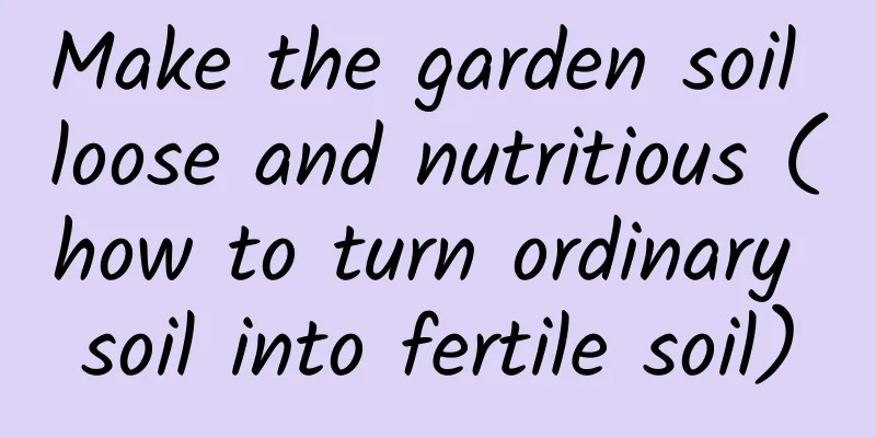 Make the garden soil loose and nutritious (how to turn ordinary soil into fertile soil)