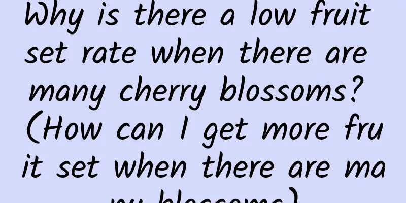 Why is there a low fruit set rate when there are many cherry blossoms? (How can I get more fruit set when there are many blossoms)