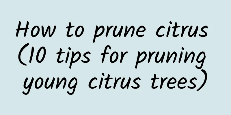 How to prune citrus (10 tips for pruning young citrus trees)