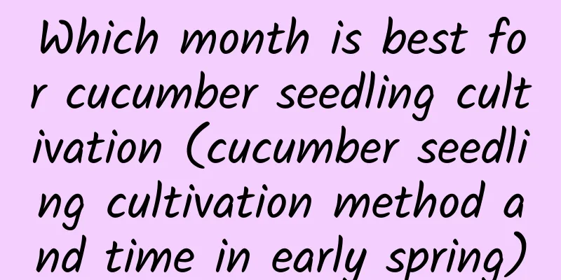 Which month is best for cucumber seedling cultivation (cucumber seedling cultivation method and time in early spring)
