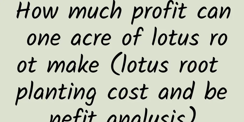How much profit can one acre of lotus root make (lotus root planting cost and benefit analysis)