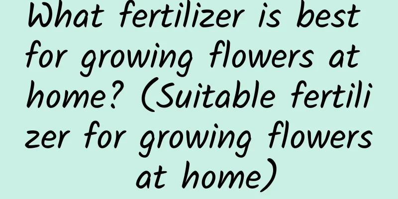What fertilizer is best for growing flowers at home? (Suitable fertilizer for growing flowers at home)