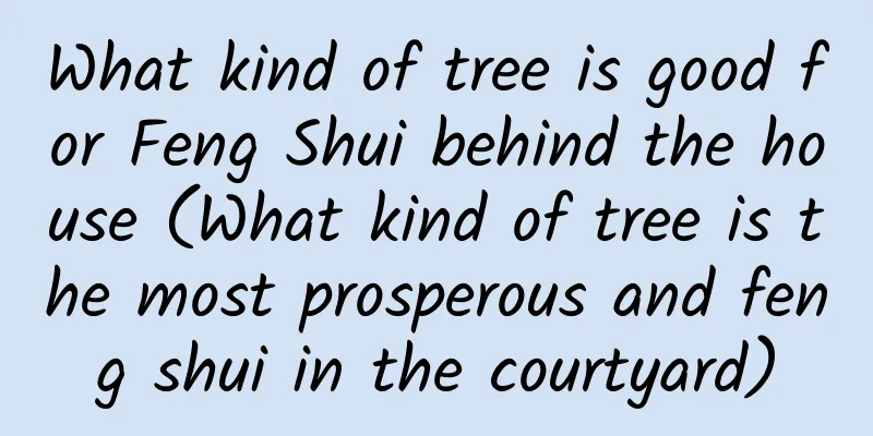 What kind of tree is good for Feng Shui behind the house (What kind of tree is the most prosperous and feng shui in the courtyard)