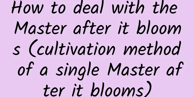 How to deal with the Master after it blooms (cultivation method of a single Master after it blooms)