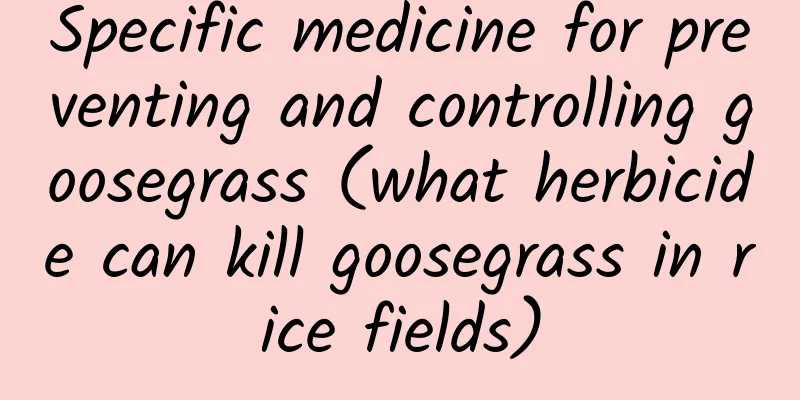 Specific medicine for preventing and controlling goosegrass (what herbicide can kill goosegrass in rice fields)