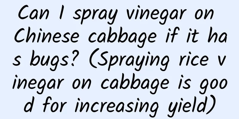 Can I spray vinegar on Chinese cabbage if it has bugs? (Spraying rice vinegar on cabbage is good for increasing yield)