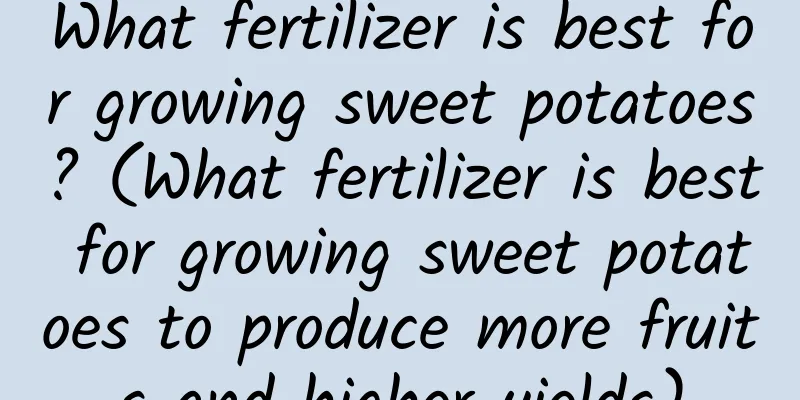 What fertilizer is best for growing sweet potatoes? (What fertilizer is best for growing sweet potatoes to produce more fruits and higher yields)