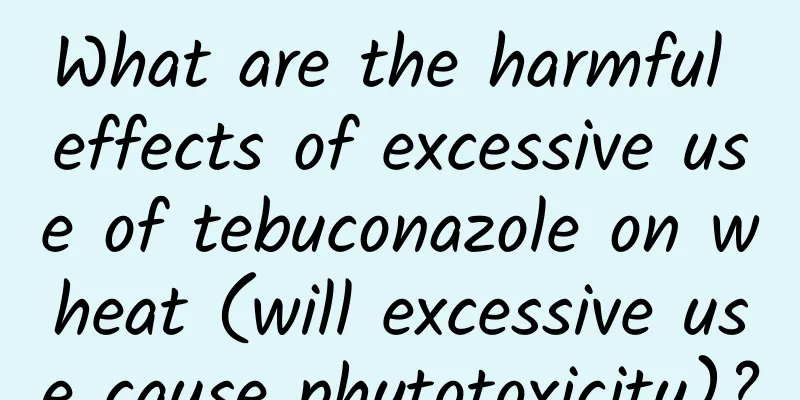 What are the harmful effects of excessive use of tebuconazole on wheat (will excessive use cause phytotoxicity)?