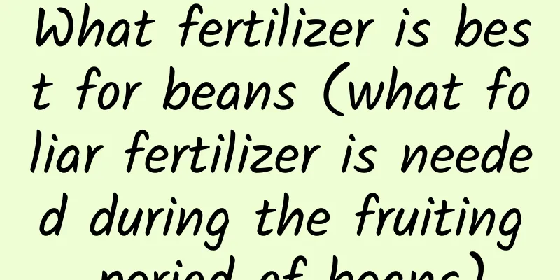 What fertilizer is best for beans (what foliar fertilizer is needed during the fruiting period of beans)