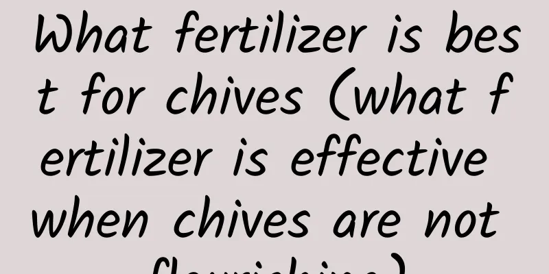 What fertilizer is best for chives (what fertilizer is effective when chives are not flourishing)